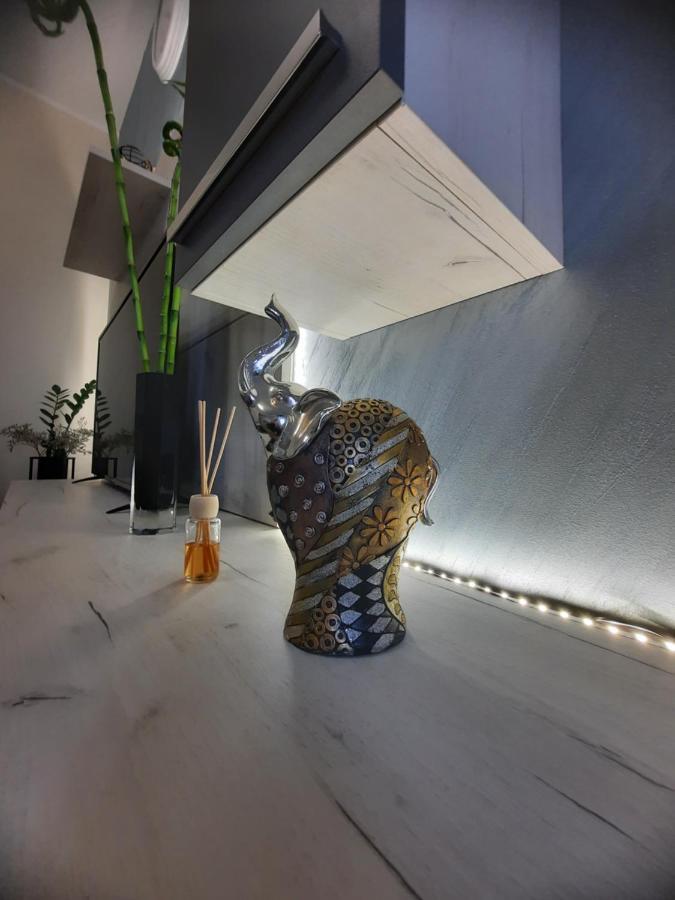 Apartman Koricanac Vrnjačka Banja المظهر الخارجي الصورة