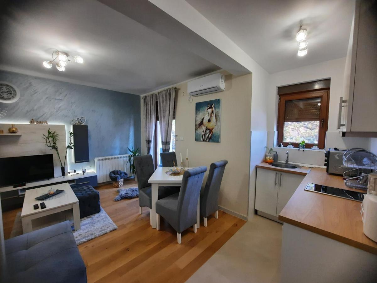 Apartman Koricanac Vrnjačka Banja المظهر الخارجي الصورة